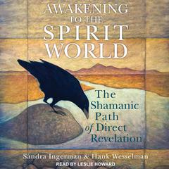 Awakening to the Spirit World: The Shamanic Path of Direct Revelation Audiobook, by 