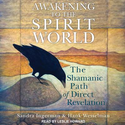 Awakening to the Spirit World: The Shamanic Path of Direct Revelation Audiobook, by Sandra Ingerman