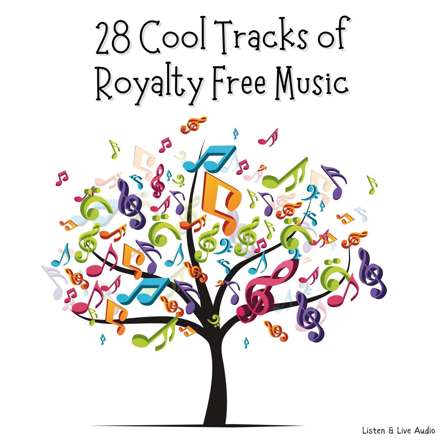 28 Cool Tracks of Royalty Free Music Audiobook, by Alfred C. Martino