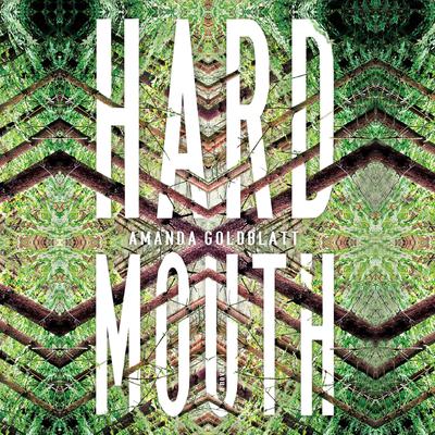 Hardmouth: A Novel Audiobook, by Amanda Goldblatt