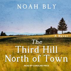 The Third Hill North of Town Audiobook, by Noah Bly