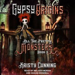 Gypsy Origins Audiobook, by Kristy Cunning
