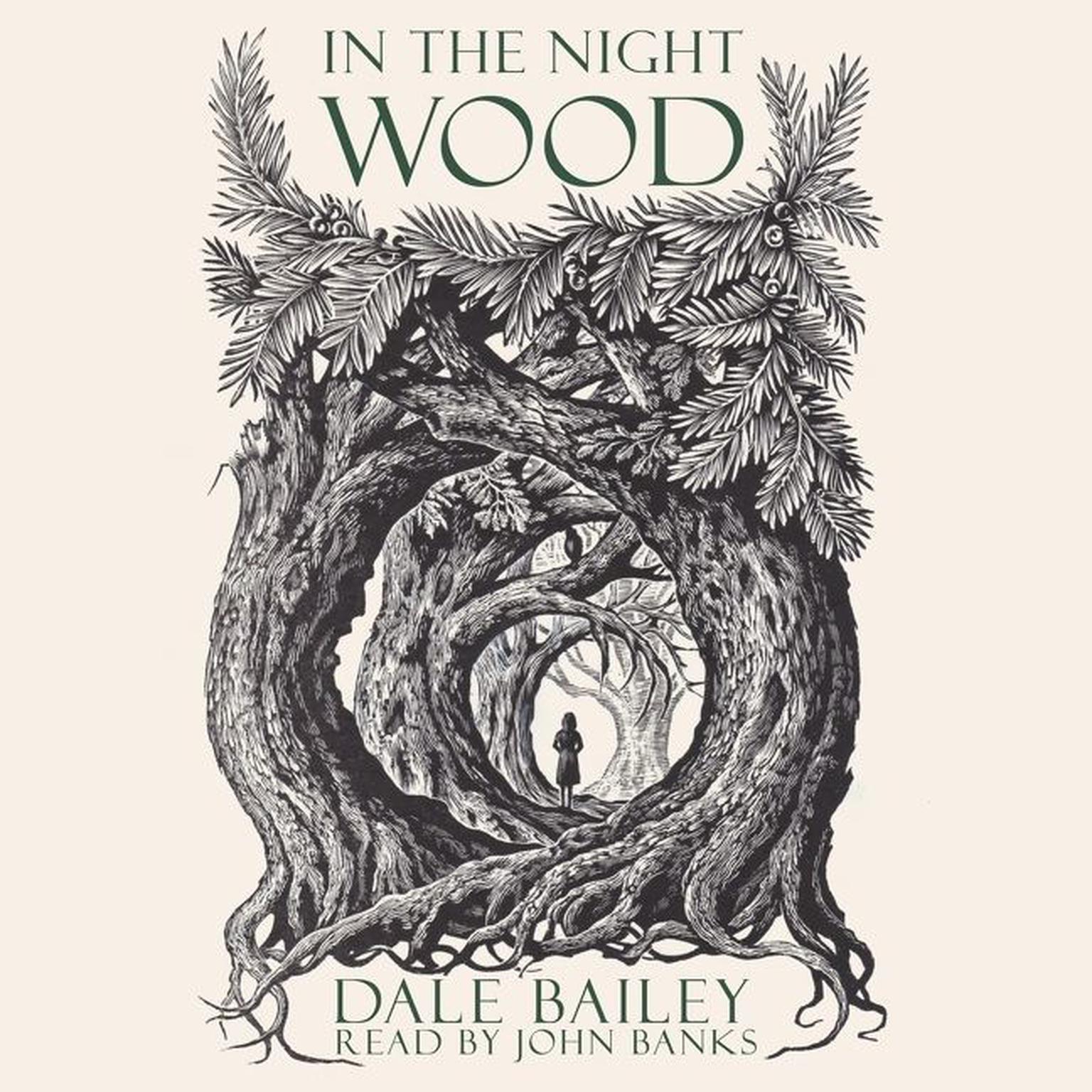 In The Night Wood Audiobook, by Dale Bailey