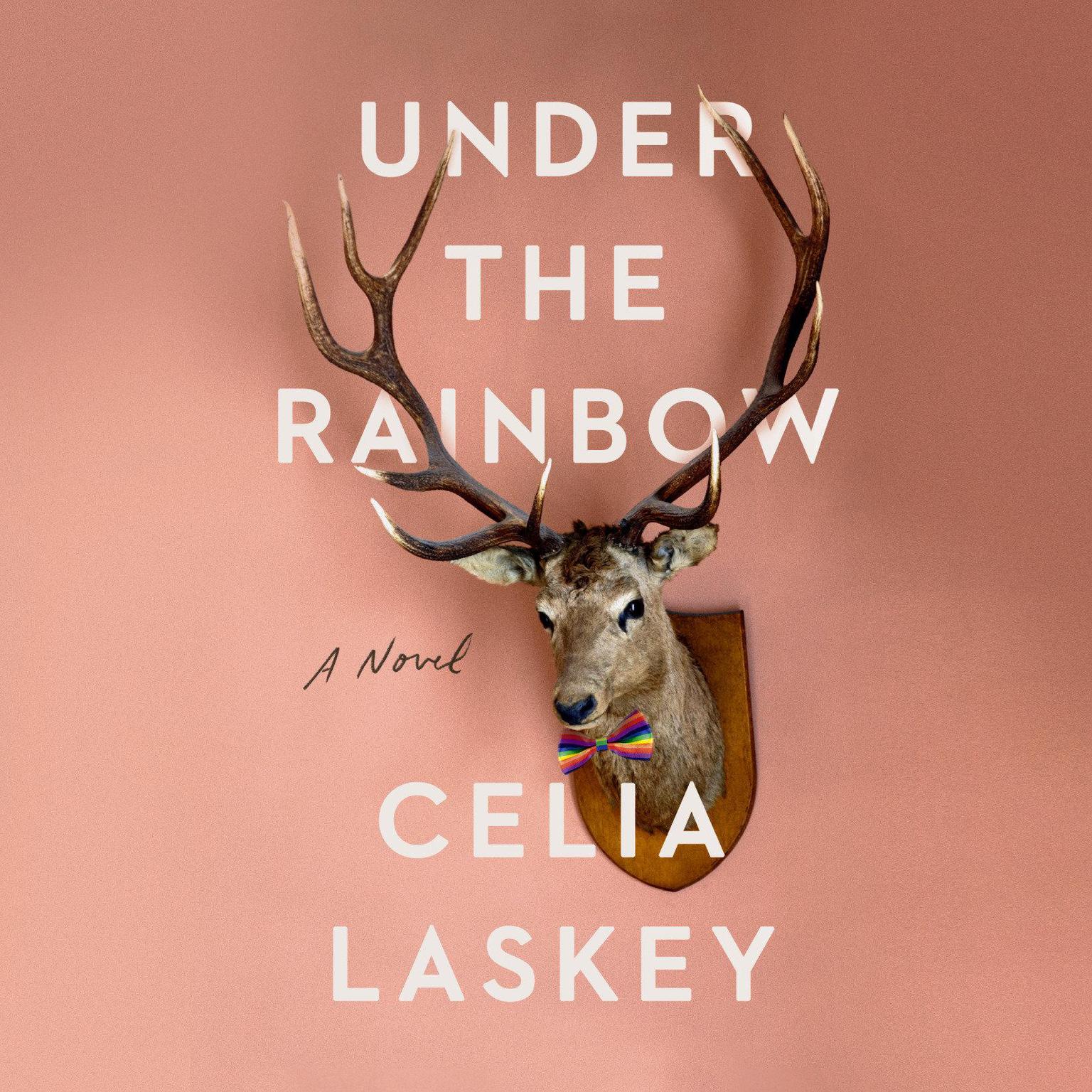 Under the Rainbow: A Novel Audiobook, by Celia Laskey