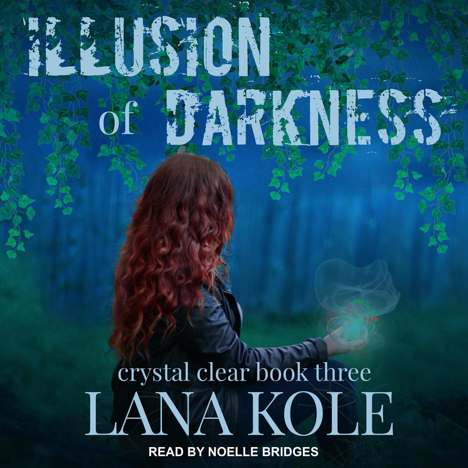 Illusion of Darkness Audiobook, by Lana Kole
