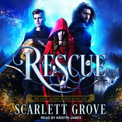 Rescue Audiobook, by A.L. Fogerty