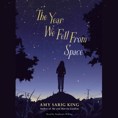 The Year We Fell From Space Audiobook, by Amy Sarig King