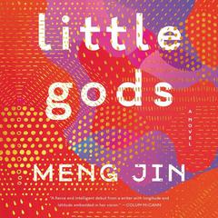 Little Gods: A Novel Audiobook, by Meng Jin