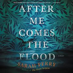 After Me Comes the Flood: A Novel Audiobook, by Sarah Perry