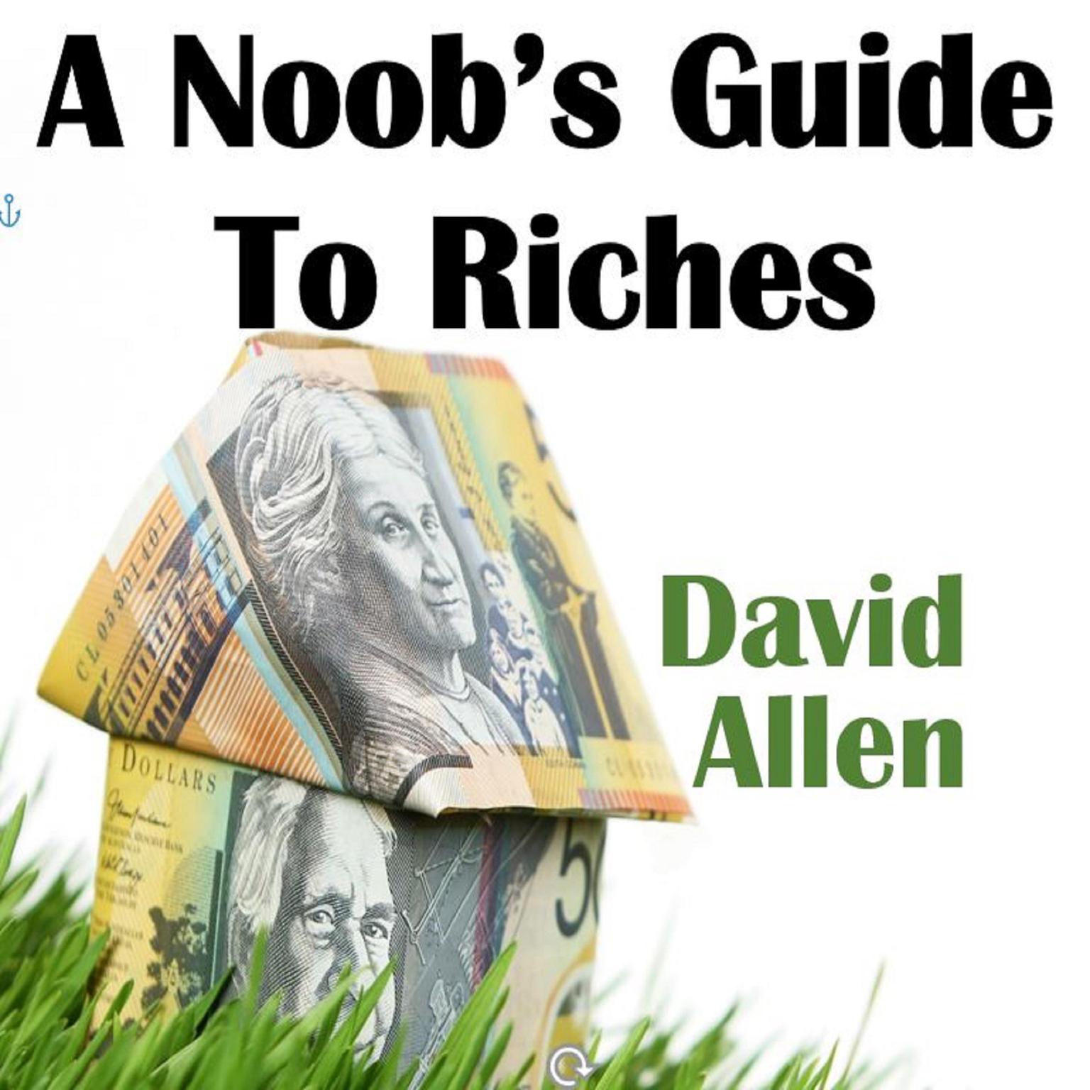 A Noobs Guide To Riches Audiobook, by David Allen