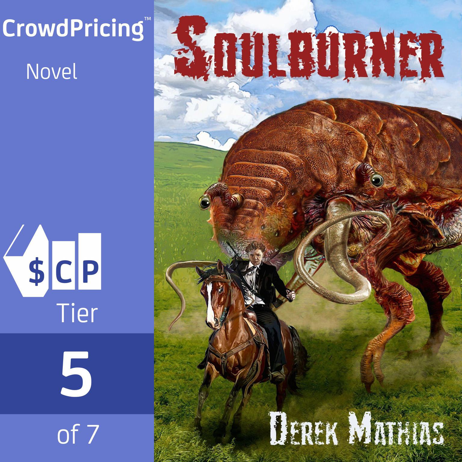 Soulburner Audiobook, by Derek Mathias