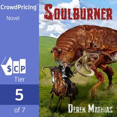Soulburner Audiobook, by Derek Mathias