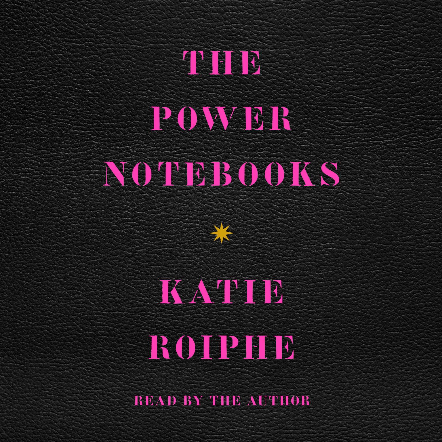 The Power Notebooks Audiobook, by Katie Roiphe
