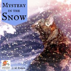 Mystery in the Snow Audiobook, by J.M. Evans