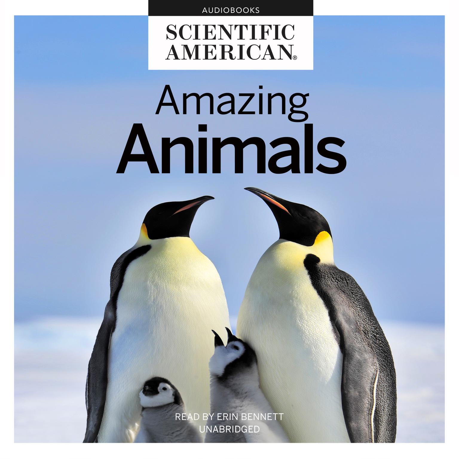 Amazing Animals Audiobook, by Scientific American
