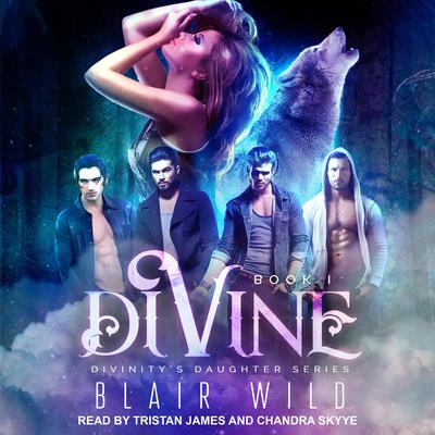 Divine Audiobook, by Blair Wild