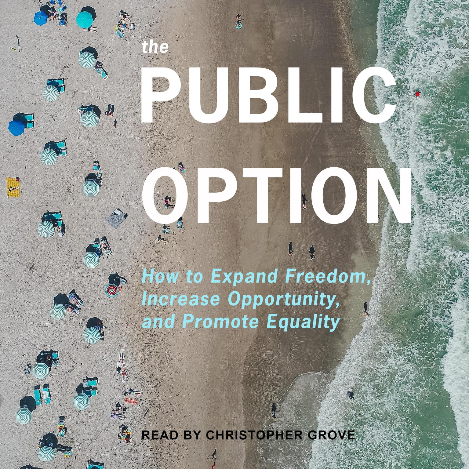 The Public Option: How to Expand Freedom, Increase Opportunity, and Promote Equality Audiobook, by Ganesh Sitaraman