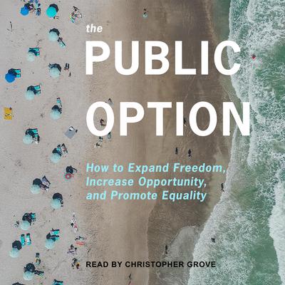 The Public Option: How to Expand Freedom, Increase Opportunity, and Promote Equality Audiobook, by Ganesh Sitaraman