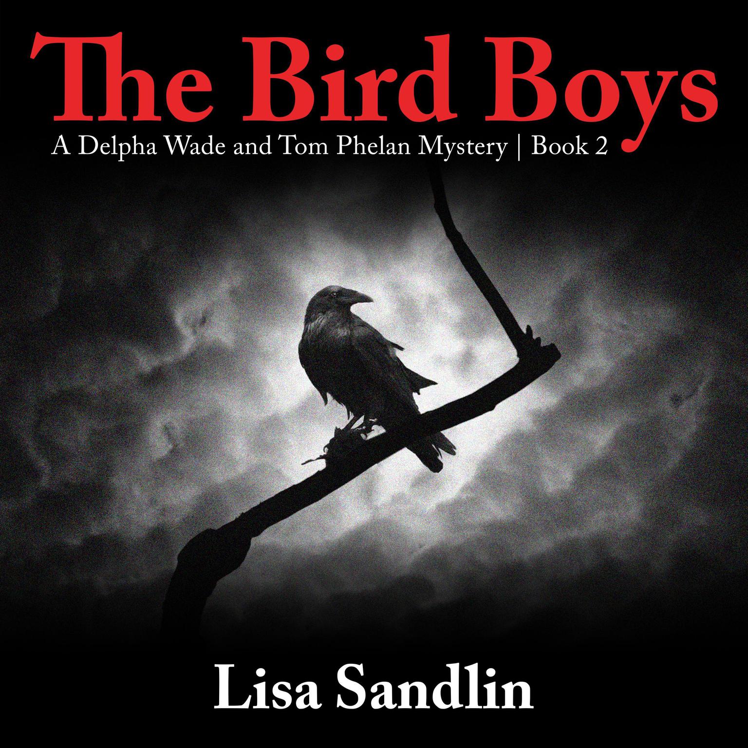 The Bird Boys: A Delpha Wade and Tom Phelan Mystery Audiobook, by Lisa Sandlin