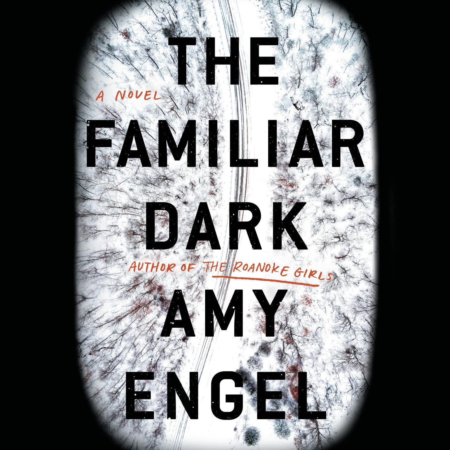 The Familiar Dark: A Novel Audiobook, by Amy Engel