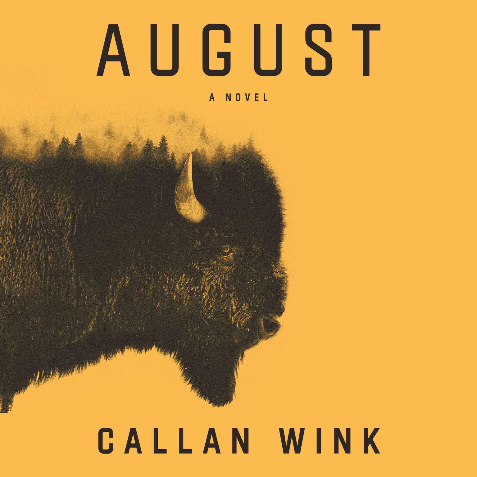 August: A Novel Audiobook, by Callan Wink