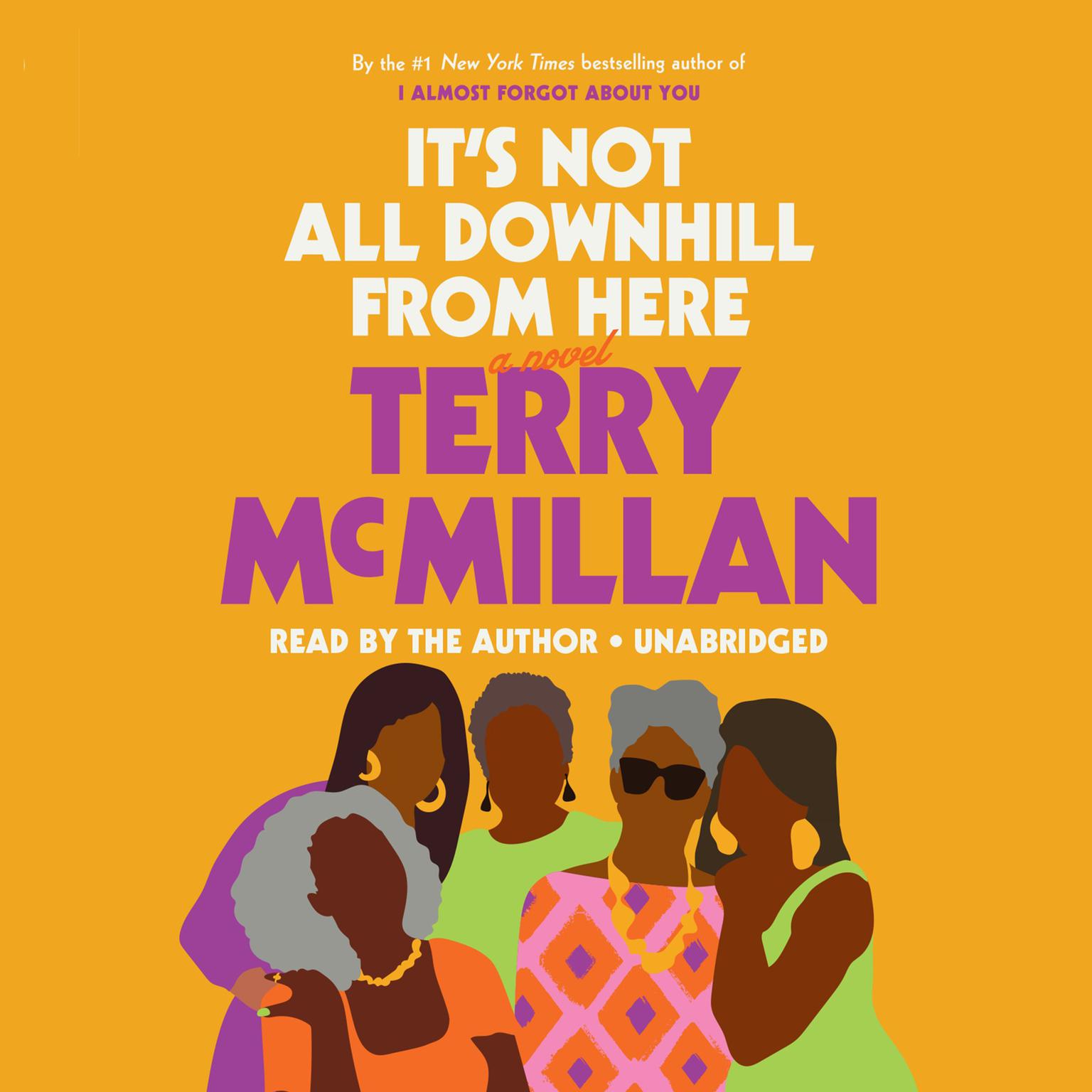 Its Not All Downhill from Here: A Novel Audiobook, by Terry McMillan