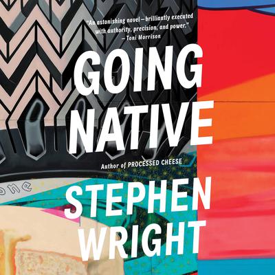 Going Native Audiobook, by Stephen Wright