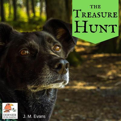 The Treasure Hunt Audiobook, by J.M. Evans