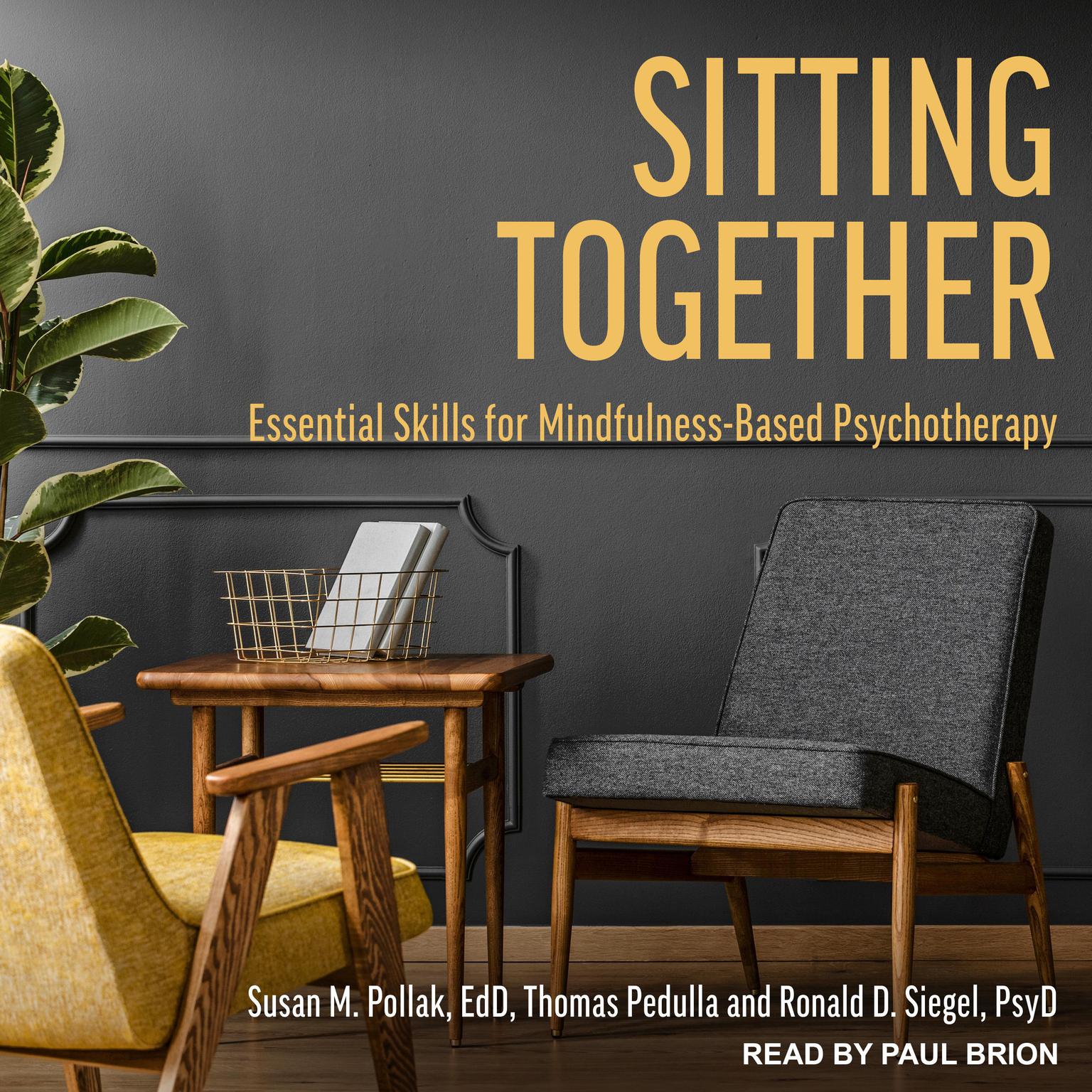 Sitting Together: Essential Skills for Mindfulness-Based Psychotherapy Audiobook, by Ronald Siegel