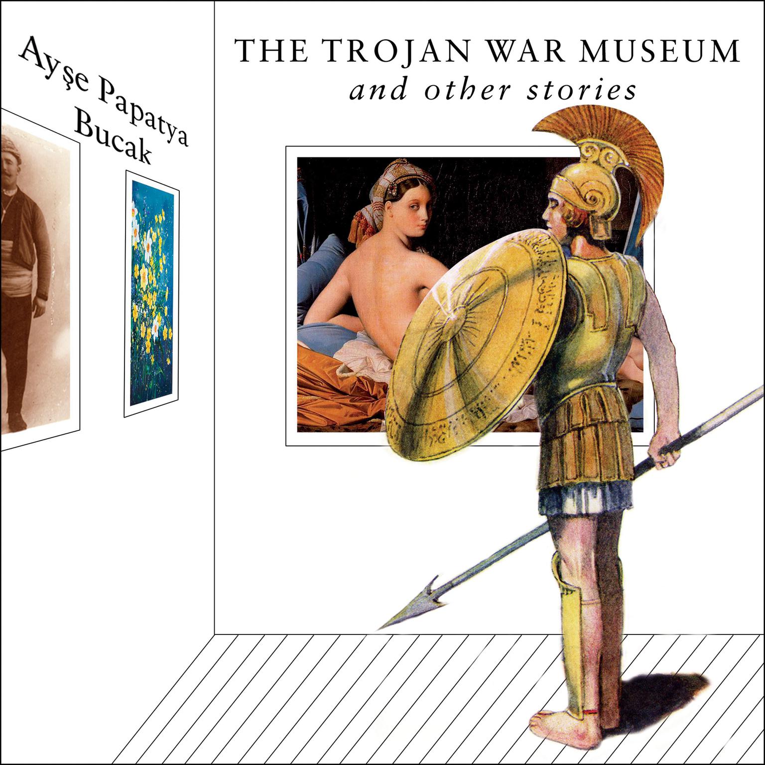 The Trojan War Museum: and Other Stories Audiobook, by Ayse Papatya Bucak