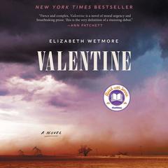 Valentine: A Novel Audiobook, by Elizabeth Wetmore
