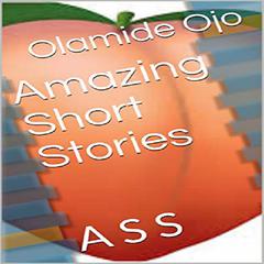 Amazing Short Stories: A S S Audiobook, by Olamide Ojo