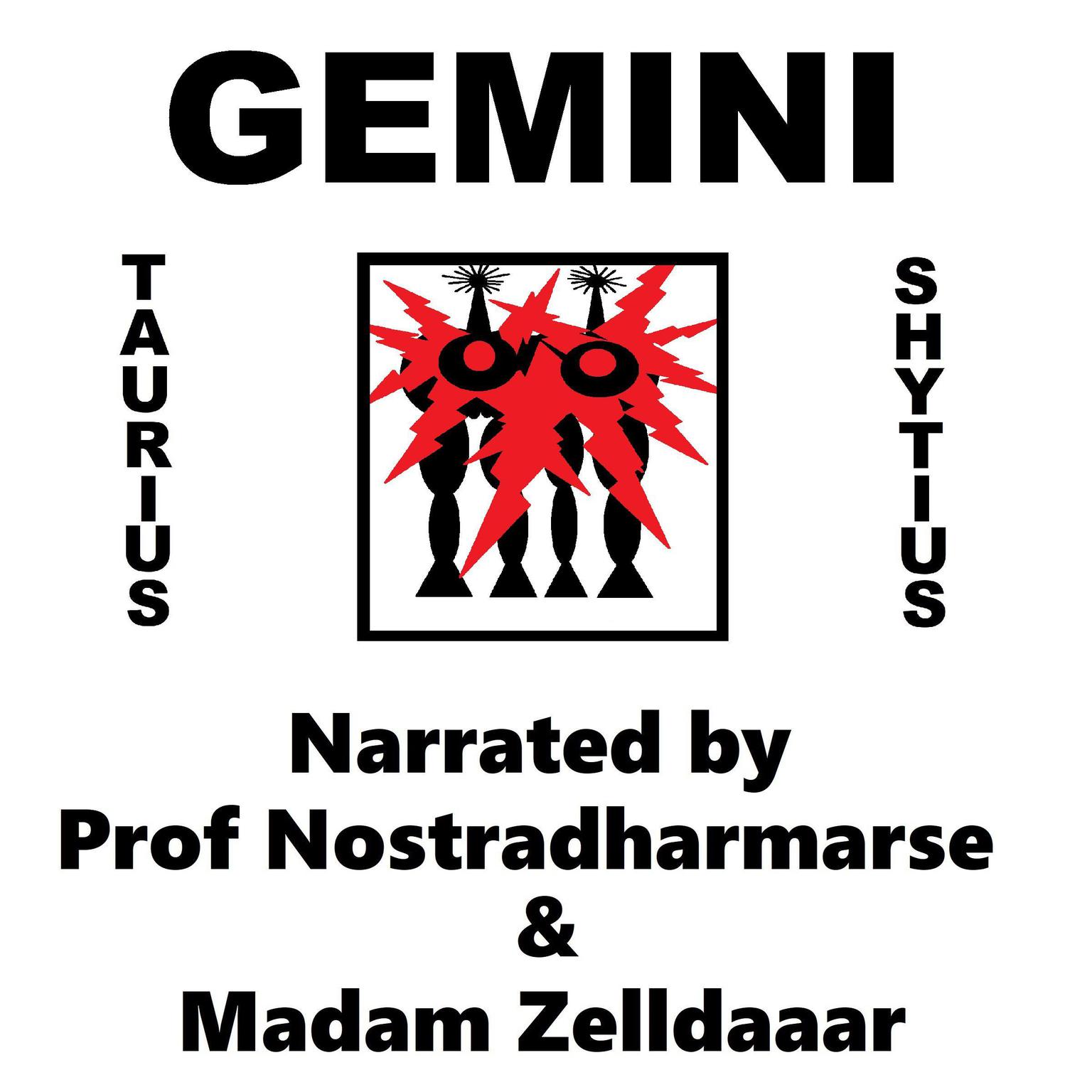 Gemini Audiobook, by Taurius Shytius
