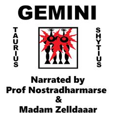 Gemini Audiobook, by Taurius Shytius