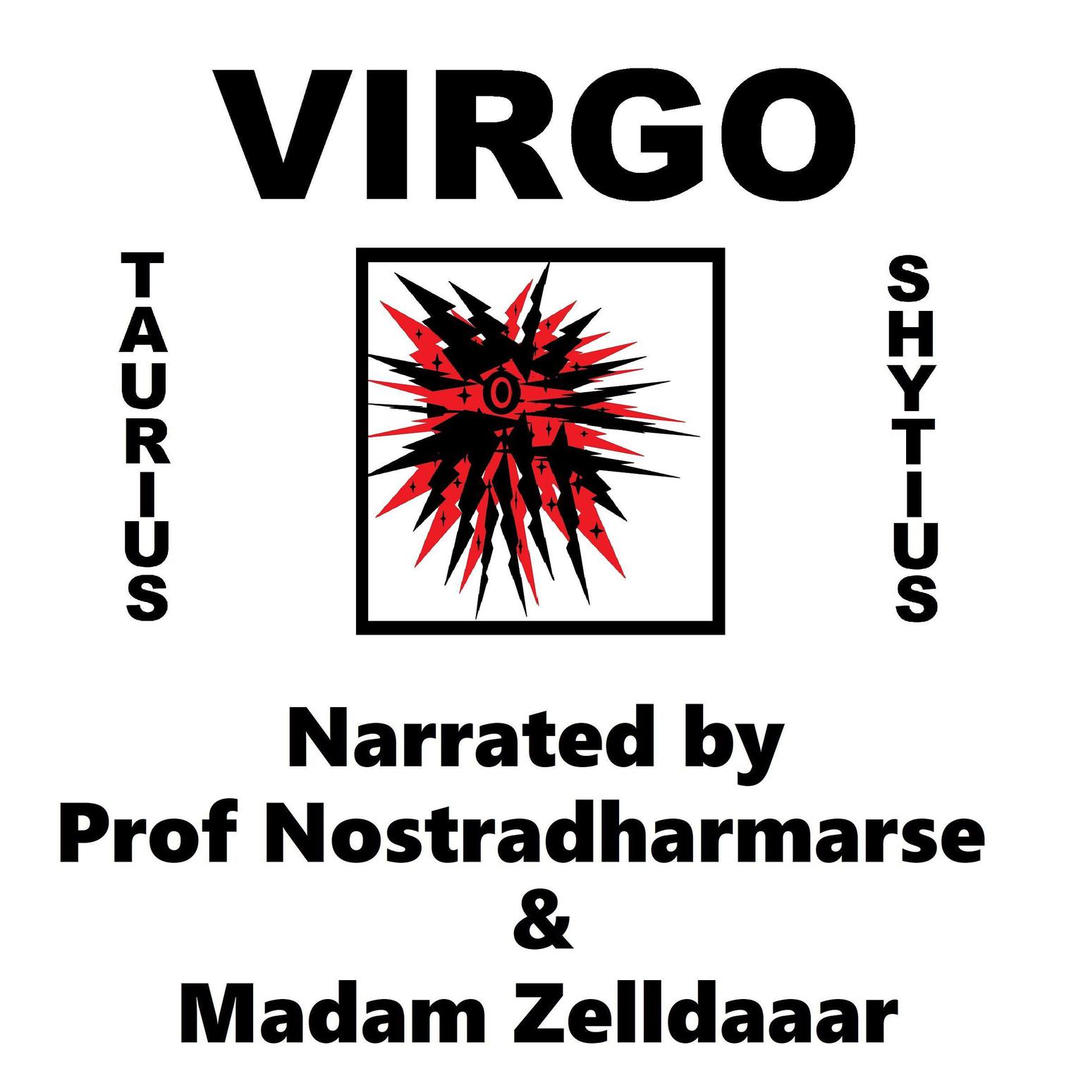 Virgo Audiobook, by Taurius Shytius