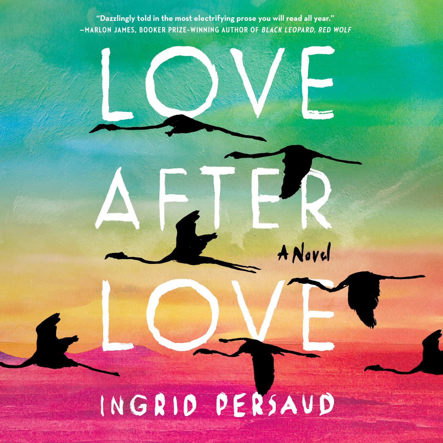 Love After Love: A Novel Audiobook, by Ingrid Persaud