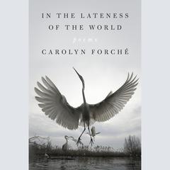 In the Lateness of the World: Poems Audiobook, by 