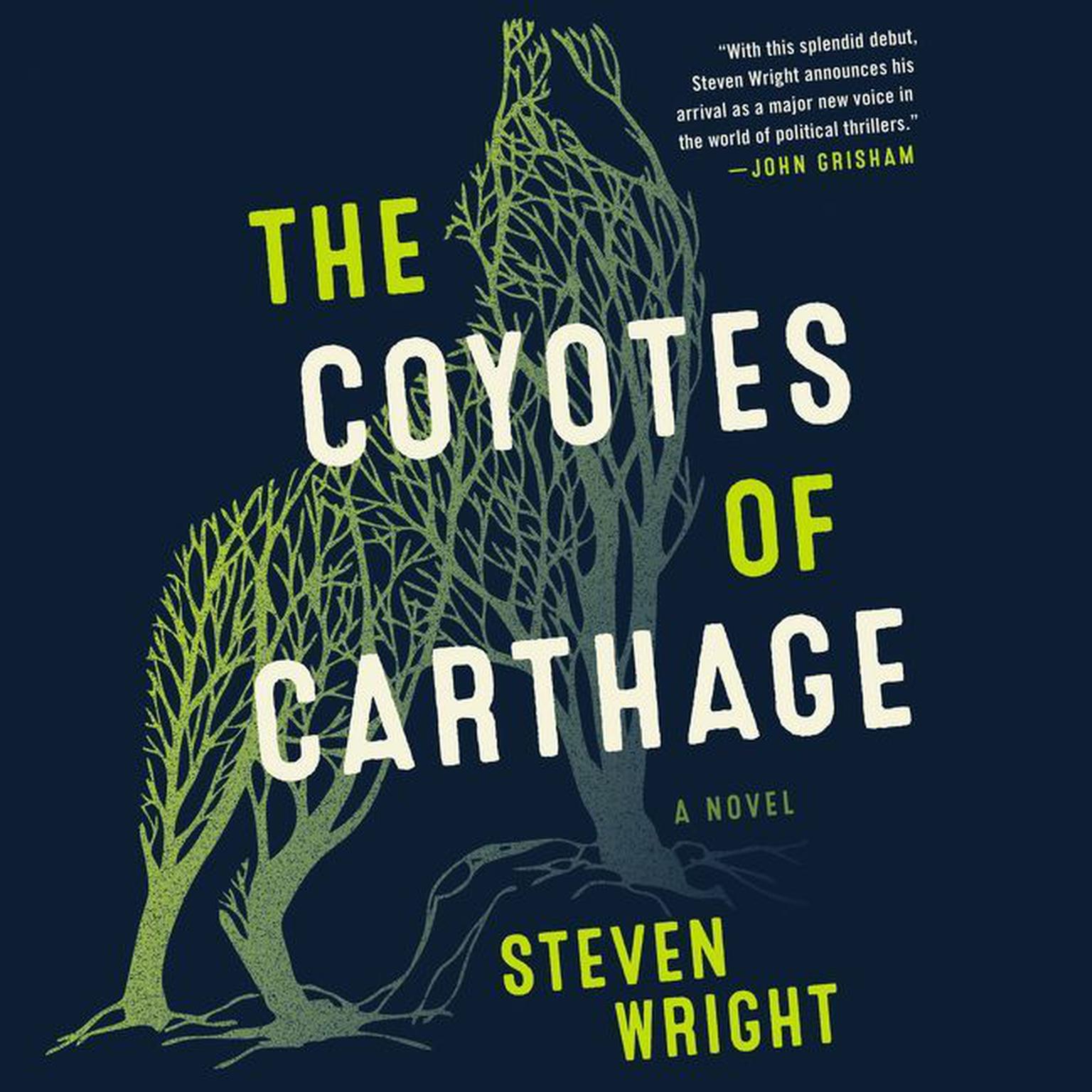 The Coyotes of Carthage: A Novel Audiobook, by Steven Wright