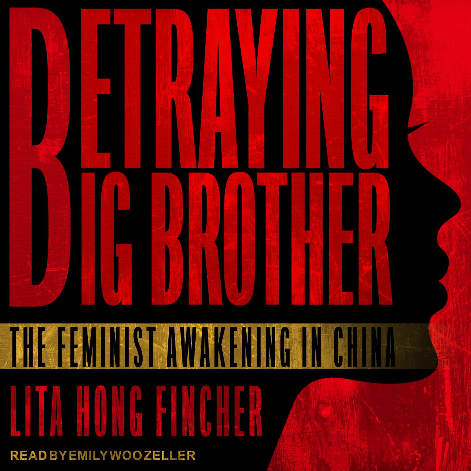 Betraying Big Brother: The Feminist Awakening in China Audiobook, by Leta Hong Fincher