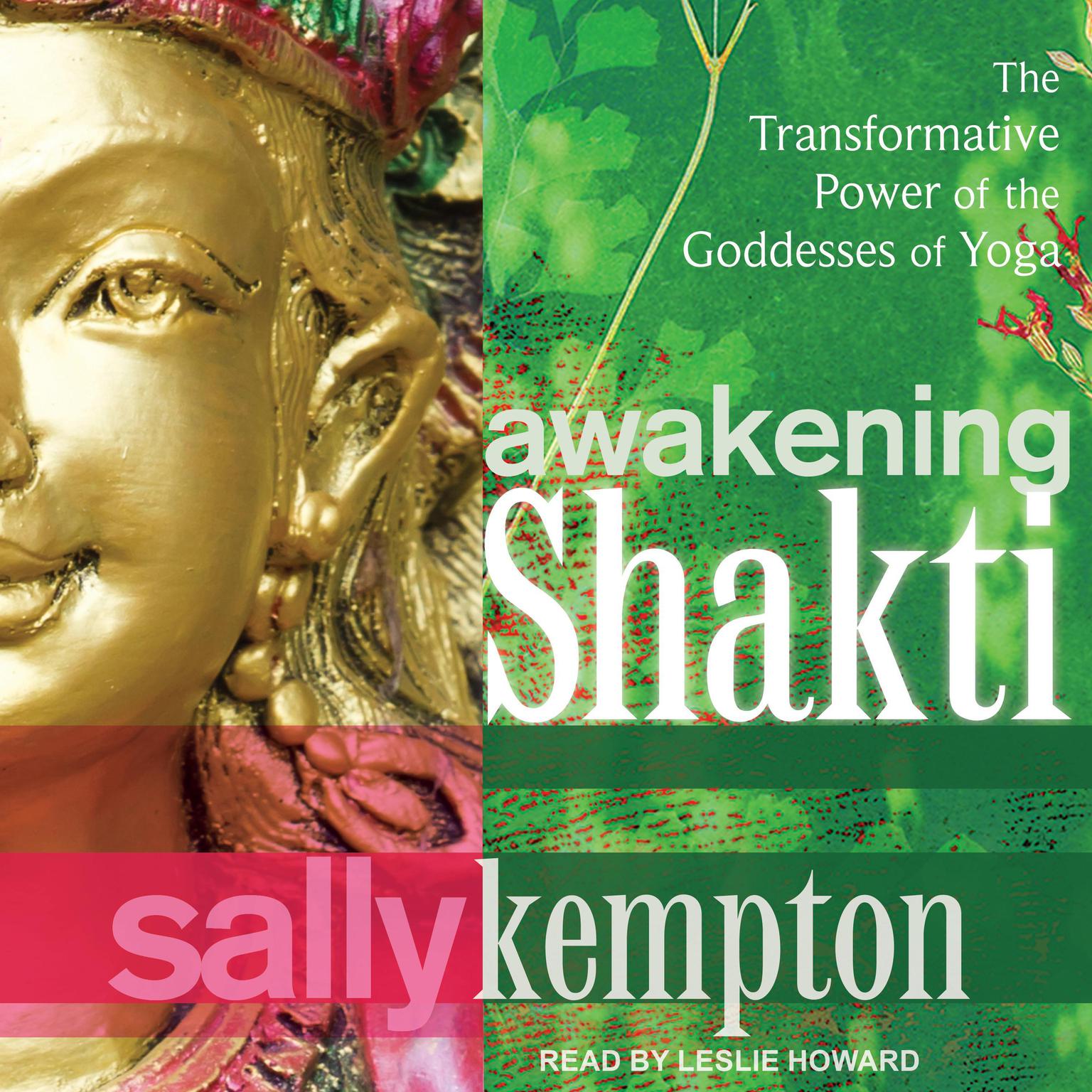 Awakening Shakti: The Transformative Power of the Goddesses of Yoga Audiobook, by Sally Kempton