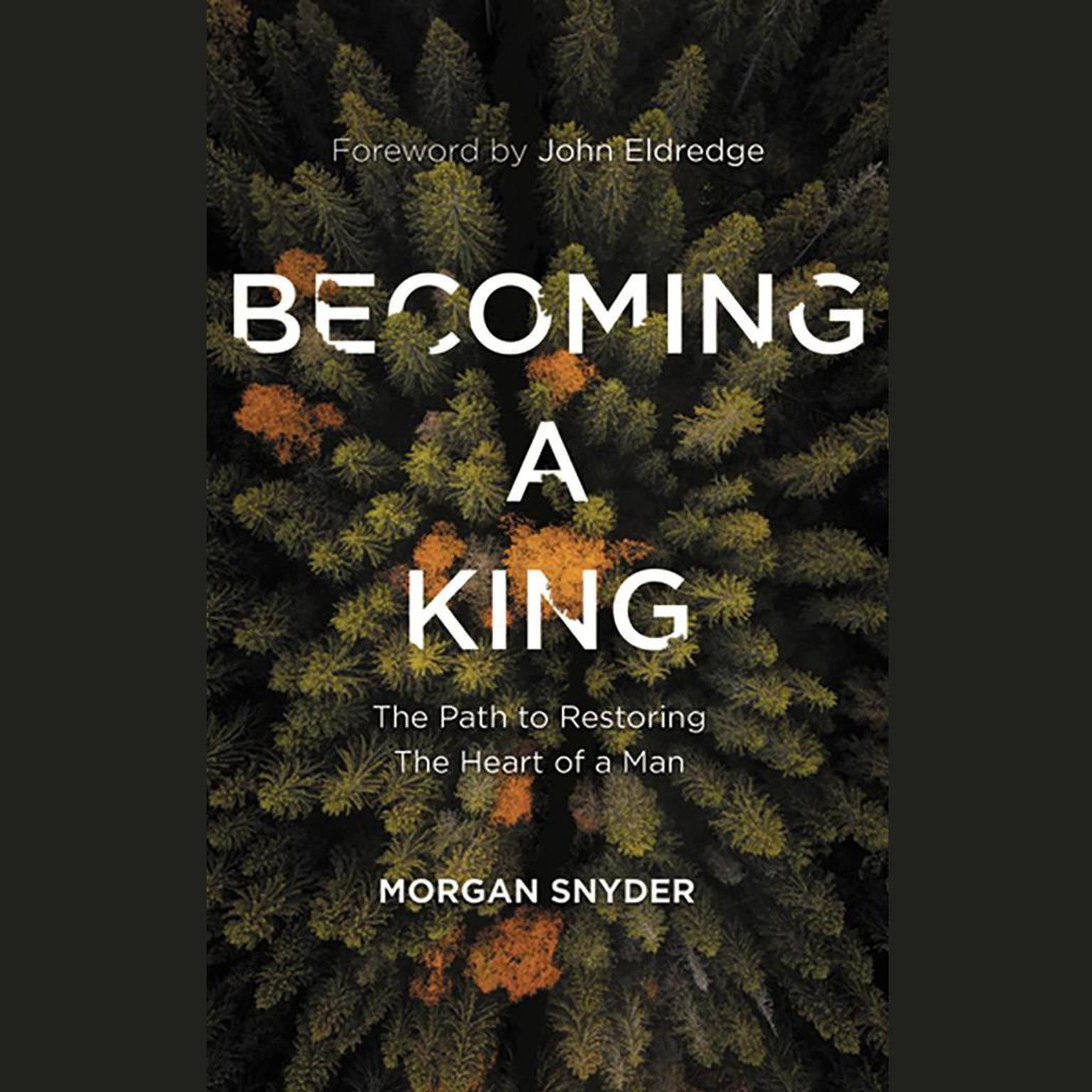 Becoming a King: The Path to Restoring the Heart of a Man Audiobook, by Morgan Snyder
