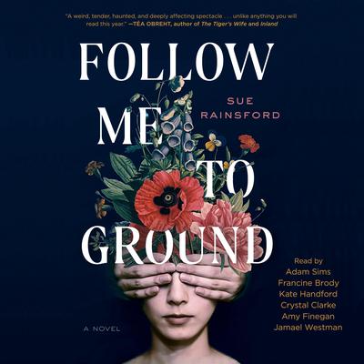 Follow Me To Ground: A Novel Audiobook, by Sue Rainsford