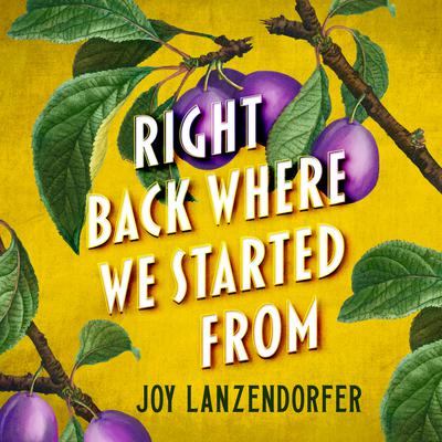 Right Back Where We Started From Audiobook, by Joy Lanzendorfer