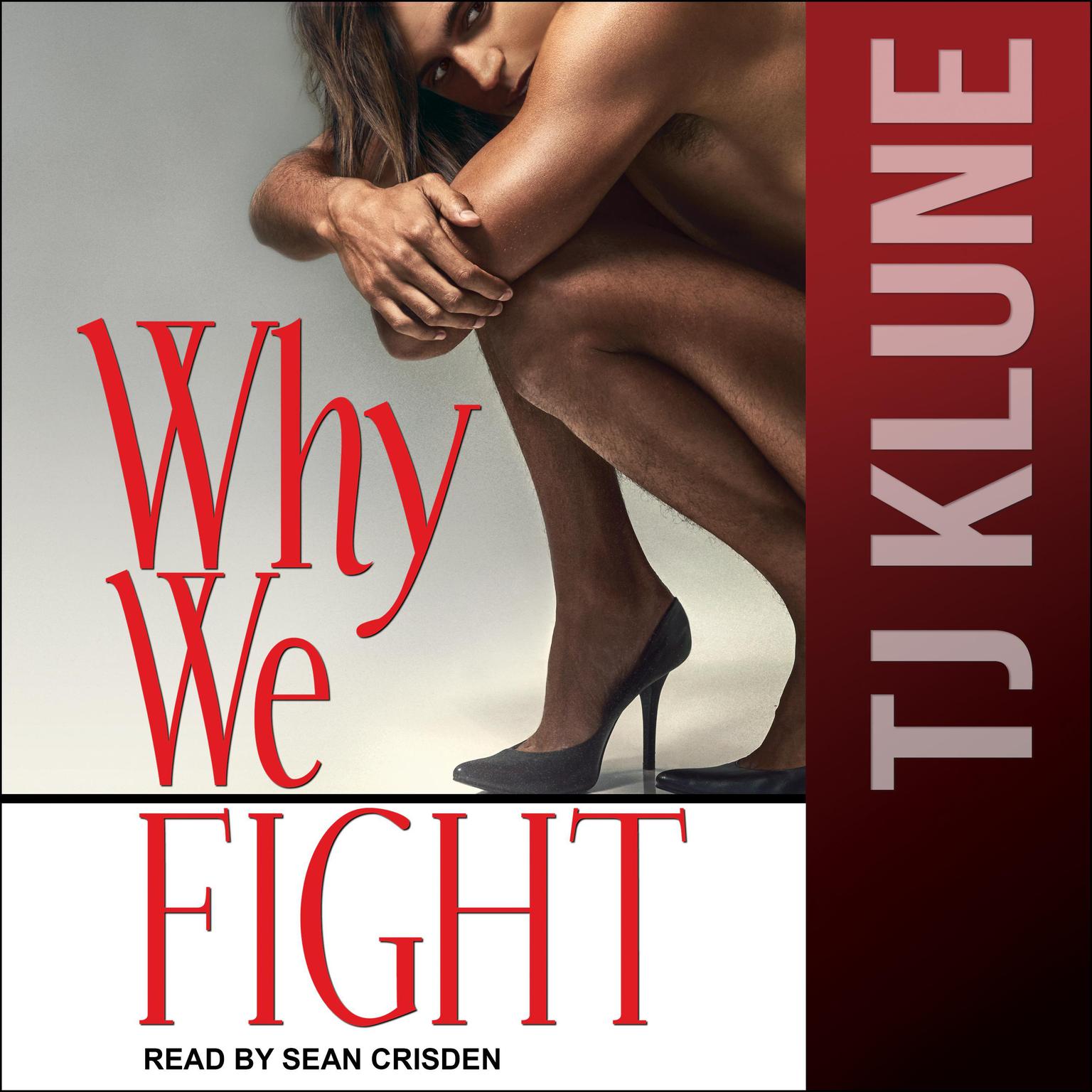 Why We Fight Audiobook, by TJ Klune