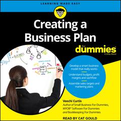 Creating a Business Plan For Dummies Audiobook, by Veechi Curtis