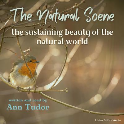 The Natural Scene Audiobook, by Ann Tudor