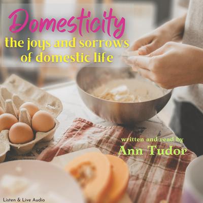 Domesticity Audiobook, by Ann Tudor