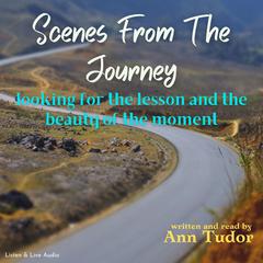 Scenes From The Journey Audiobook, by Ann Tudor