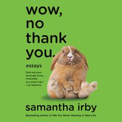 Wow, No Thank You.: Essays Audiobook, by 