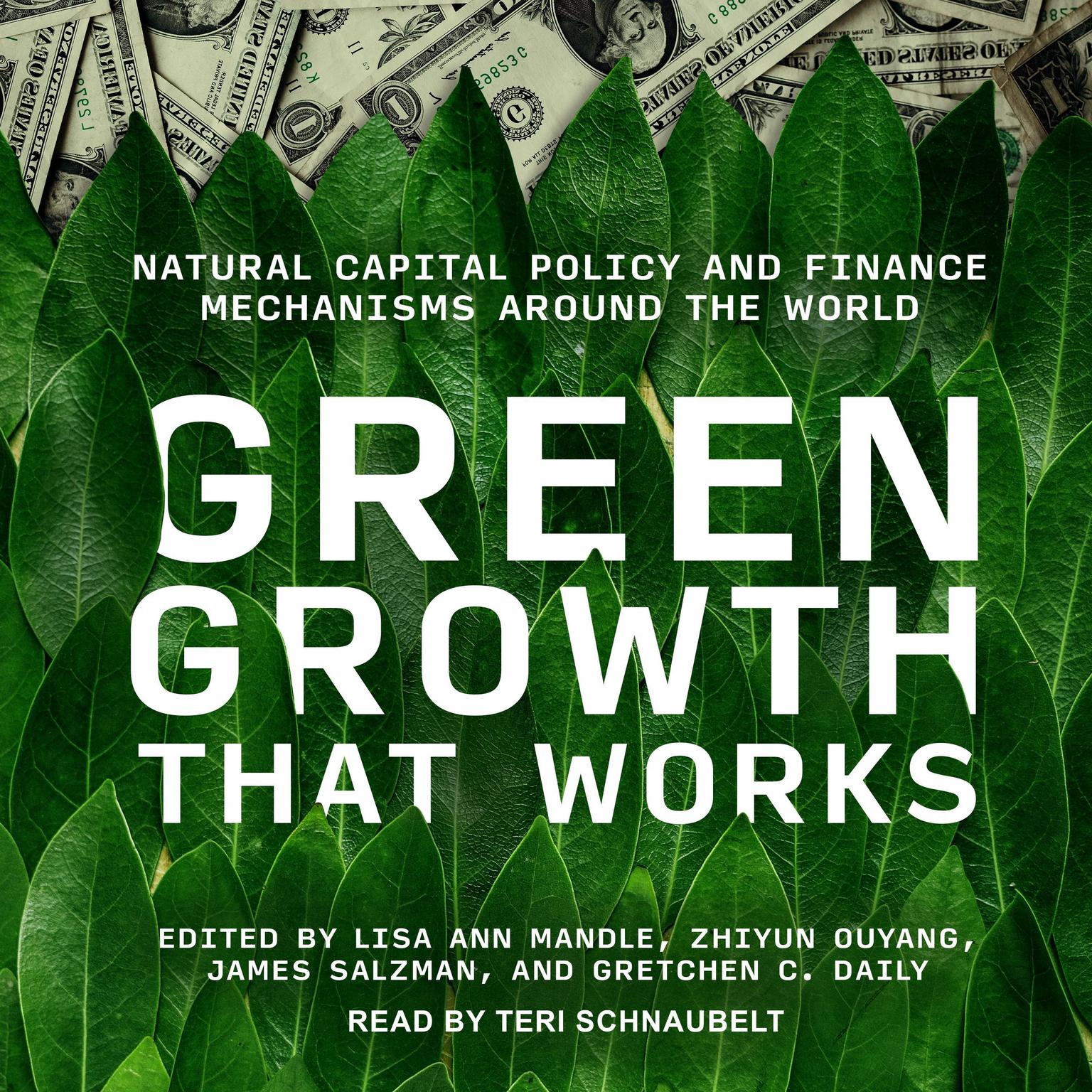 Green Growth That Works: Natural Capital Policy and Finance Mechanisms Around the World Audiobook, by James Salzman
